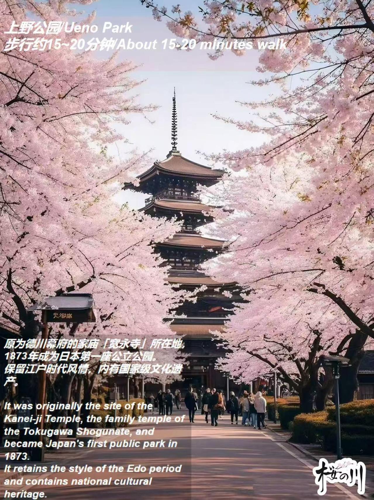 桜の川17 Ueno 5mins Ueno Zoo Three Storey Detached House Then 13 People Tóquio